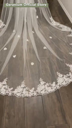 Cathedral Wedding Veil Lace bridal veil with Metal Comb Length 300cm width 300cm for Bride VL-154